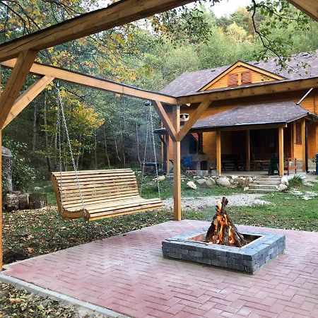 Chalet By The River Văliug Eksteriør billede