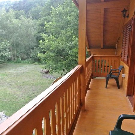 Chalet By The River Văliug Eksteriør billede