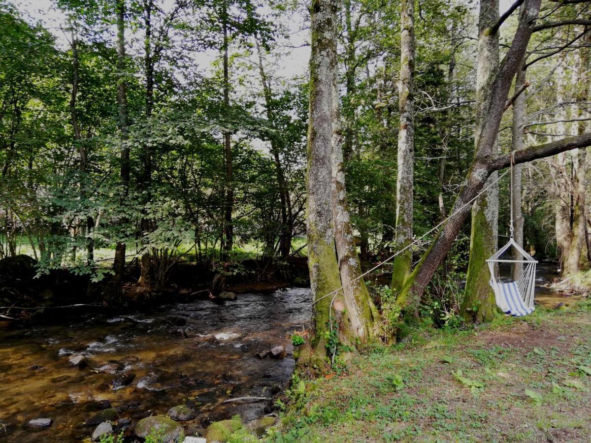 Chalet By The River Văliug Eksteriør billede