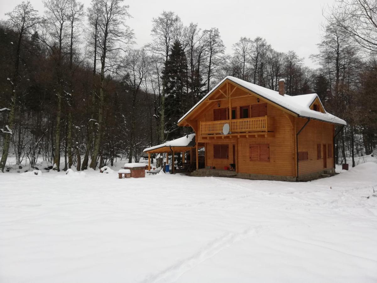 Chalet By The River Văliug Eksteriør billede