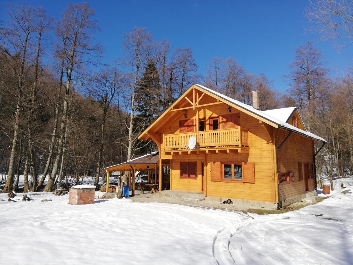 Chalet By The River Văliug Eksteriør billede