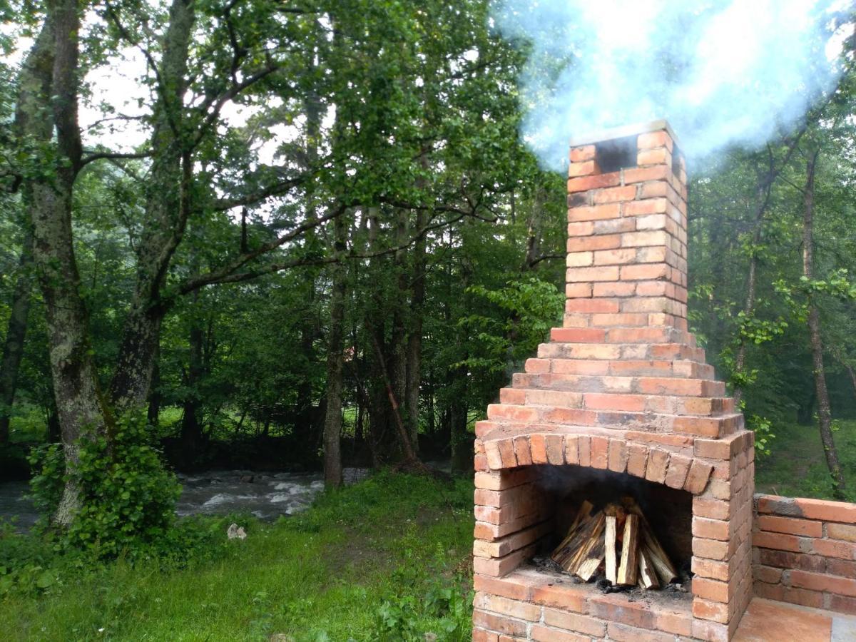 Chalet By The River Văliug Eksteriør billede