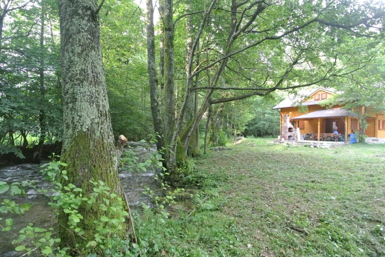 Chalet By The River Văliug Eksteriør billede