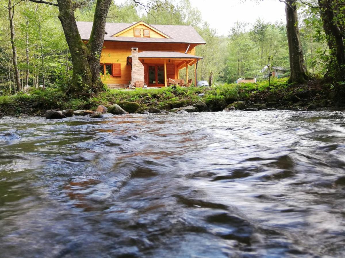 Chalet By The River Văliug Eksteriør billede