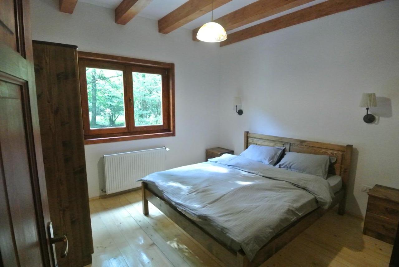 Chalet By The River Văliug Eksteriør billede