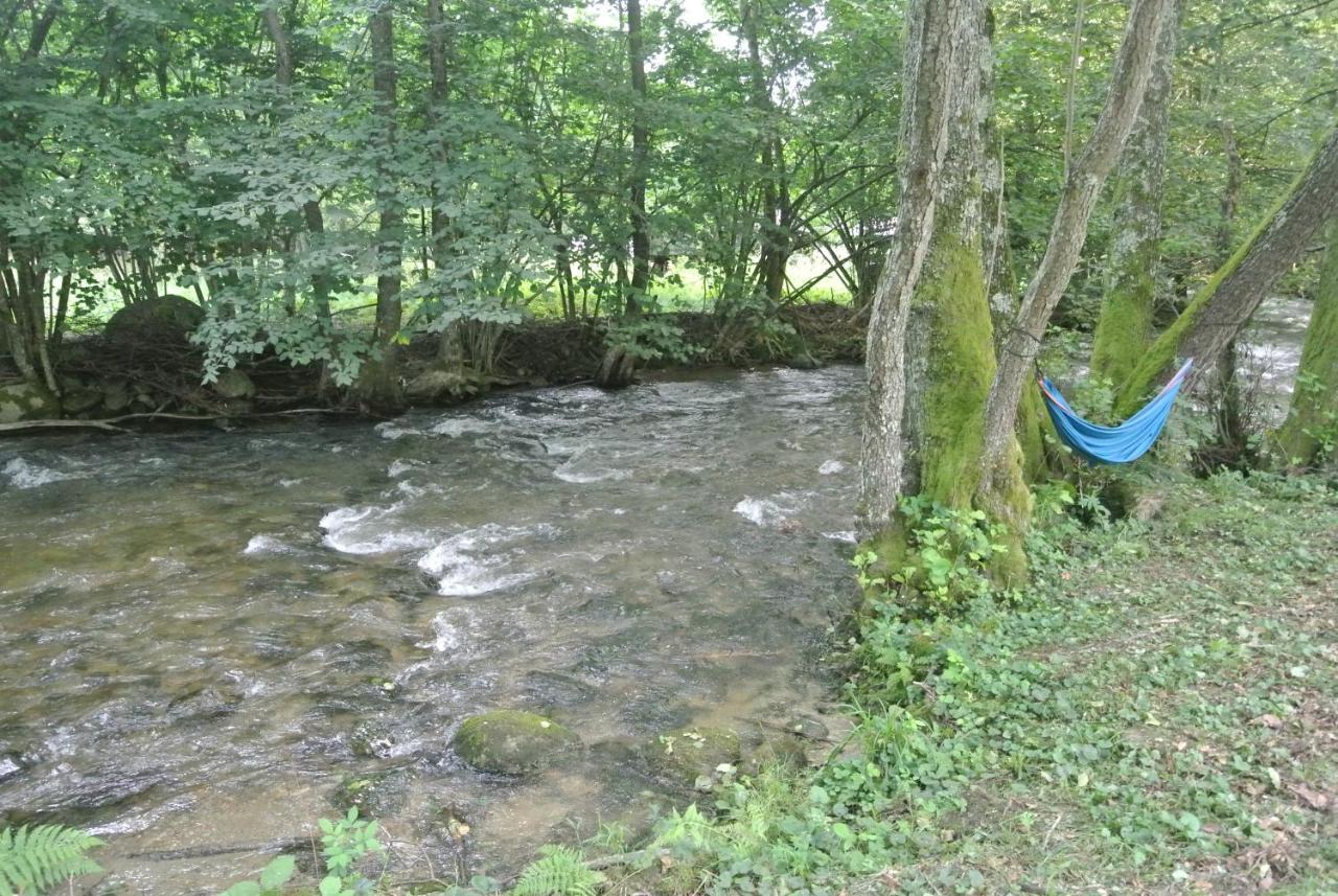 Chalet By The River Văliug Eksteriør billede