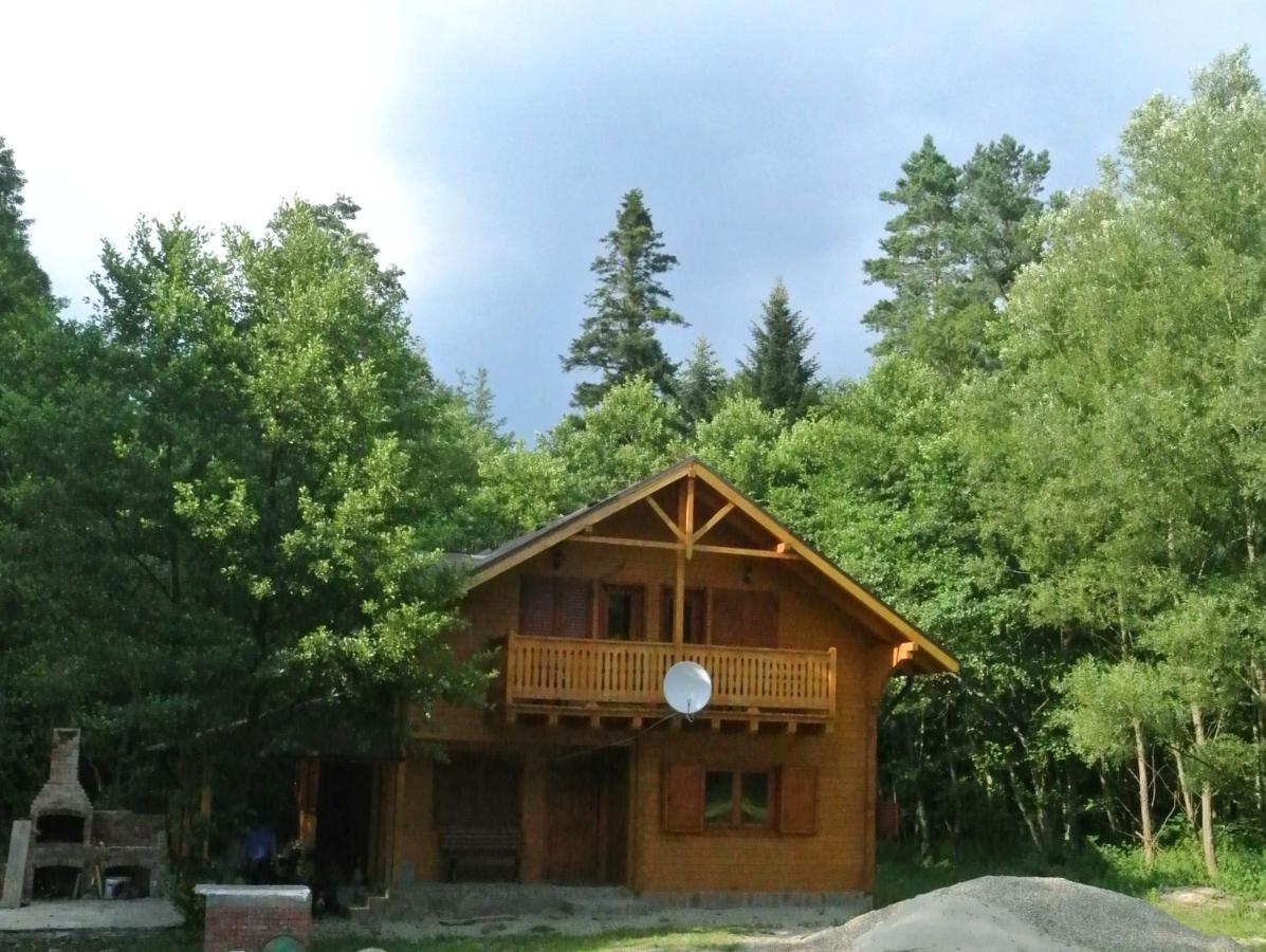 Chalet By The River Văliug Eksteriør billede